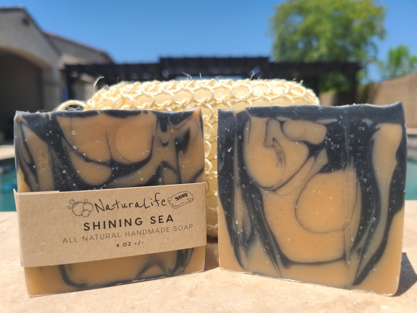 Shea Based Cold Processed All Natural Soap - Shining Sea - Cedarwood - Grapefruit - Patchouli - Pine - Activated Charcoal